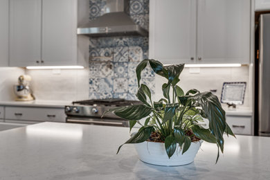 Mid-sized elegant l-shaped brick floor and brown floor kitchen pantry photo in Dallas with a farmhouse sink, raised-panel cabinets, white cabinets, ceramic backsplash, stainless steel appliances, an island and white countertops