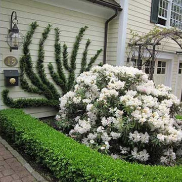 Unusual Plantings