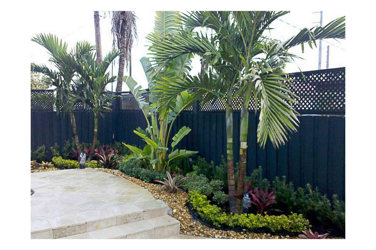Fernandez grounds — tree transplanting and landscape design by Silvera Landscaping