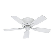fans