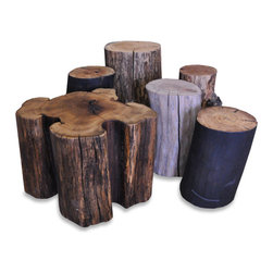 Urban Tree Salvage - Reclaimed Solid Wood Log Stump Side Tables - Side Tables And End Tables