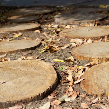 Ecological Courtyard