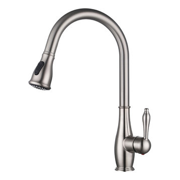 Vanity Art Pull Out Kitchen Faucet, Brushed Nickel