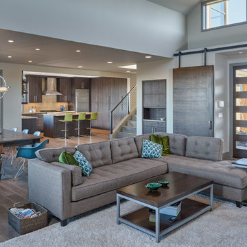Contemporary Living Room
