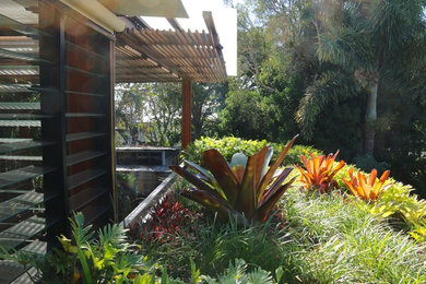 Inspiration for a modern garden in Brisbane.