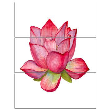 Pink Lotus Watercolor Illustration, Flower Artwork on Canvas, 28x36, 3 Panels