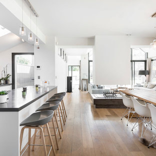 レンヌの中サイズのコンテンポラリースタイルのLDKの画像 (白い壁、淡色無垢フローリング、両方向型暖炉)