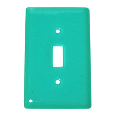 3dRose lsp_168037_1 Everyday is a Special Occasion in Turquoise Light Switch Cover 