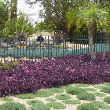 Lawn conversion in Fairbanks Ranch