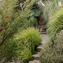 Harvard Garden