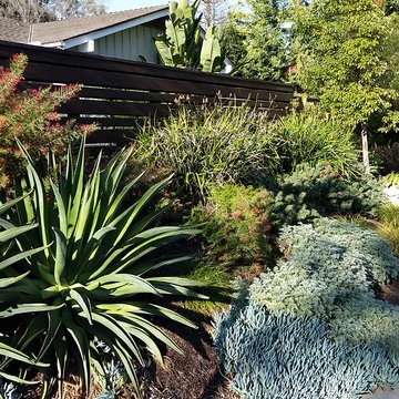 General Clean-up & Plant Additions
