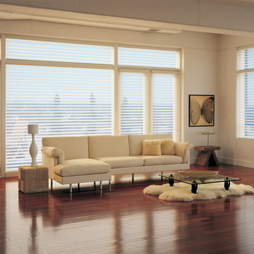 Hunter Douglas Sheers & Shadings