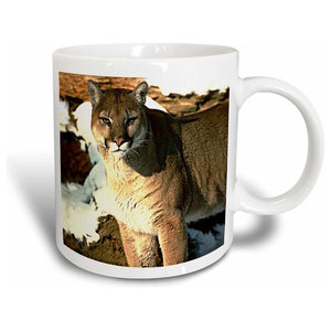 Shikara Siberian Tiger Mug Traditional Mugs By 3drose L L C