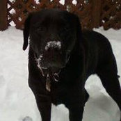 Foto von Susan McKenna Boiros