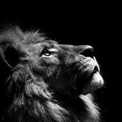 Ankur Patel's photo