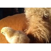 Michel Jomphe's photo