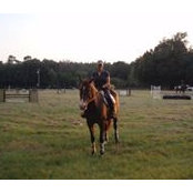 Cathy Koertge's photo