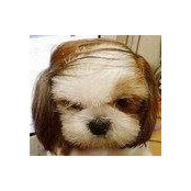 Yue Li's photo