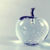 Anh Nguyen's photo