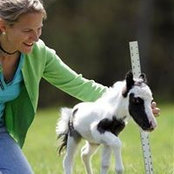 Bryan Gilmore's photo