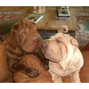 Nancy Horkey's photo