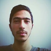 Masoud Sadeghifar's photo