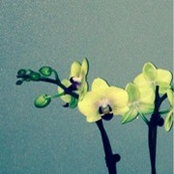 Carla Arrue's photo