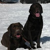 Alison Christenson's photo