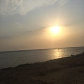 صالح القثامي's photo