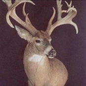 Steve Claypool's photo