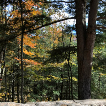 Camp Parking - view east