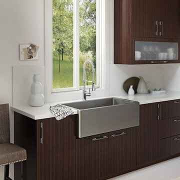 Contemporary Kitchen