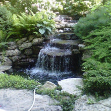 pond