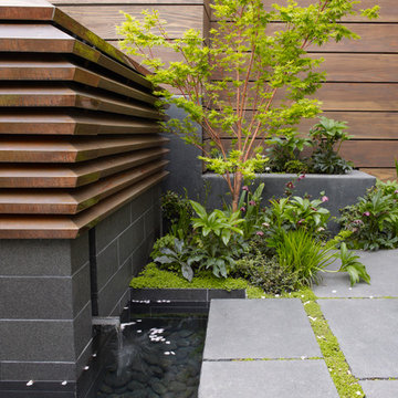 Fire & Water Features