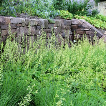 Farmhouse Garden