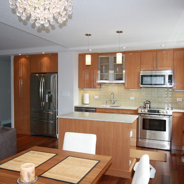 Manhattan NY Modern Kitchen DR LR Combo - High Gloss Veneer - Island - Hi-Rise