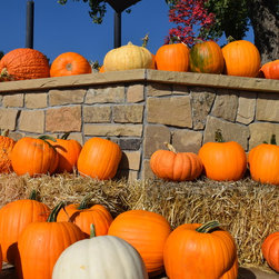 Harvest Festival - Products
