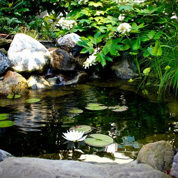 Ponds & Waterfeatures
