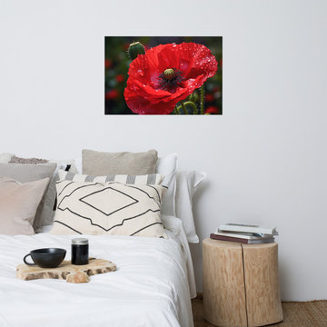 Floral Poster Prints: Crimson Solitude Photorealism - Digital Artwork Loose Art