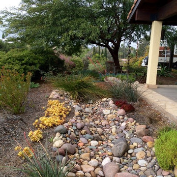 Escondido Front Yard