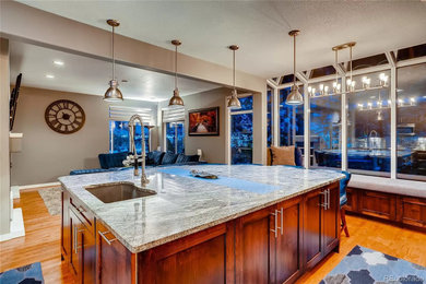 Transitional kitchen photo in Denver