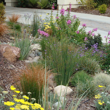 Natural Drainage