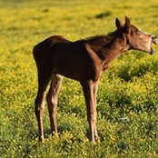 Foto von Casey Buffum