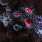 Scott Richardson's photo
