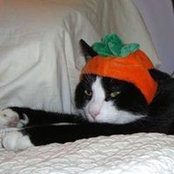 Rita Hammock's photo