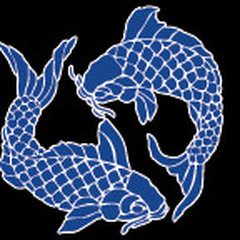 Pisces Ventures Inc/Pisces Contracting & Carpentry