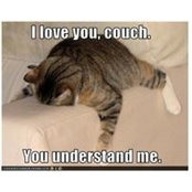 Marla Haycox's photo