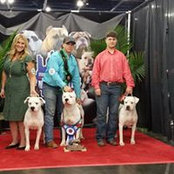 Cameron Cammack's photo