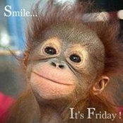 Sandy Tynan's photo
