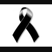 Sofia Jasso's photo
